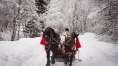 Maramureșenii, invitați să se bucure de o spectaculoasă paradă a colindătorilor la ”Crăciun în Maramureș”, care a ajuns la a XIV-a ediți...