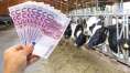 APIA primeşte cereri pe schema de ajutor de stat pentru susţinerea sectorului bovin până pe 23 martie