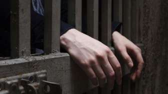 Bărbat de 40 de ani din Vișeu de Sus, reținut pentru 24 de ore pentru furt calificat și distrugere