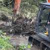 FOTO - Lucrări pentru prevenirea inundațiilor pe râul Rona, în zona de confluență cu râul Iza