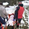 FOTO - Două acțiuni derulate de salvatorii montani ai SPJ Salvamont Maramureș în ultimele 24 ore