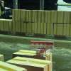 Zeci de mii de pachete cu țigări de contrabandă descoperite ascunse într-un camion încărcat cu varză